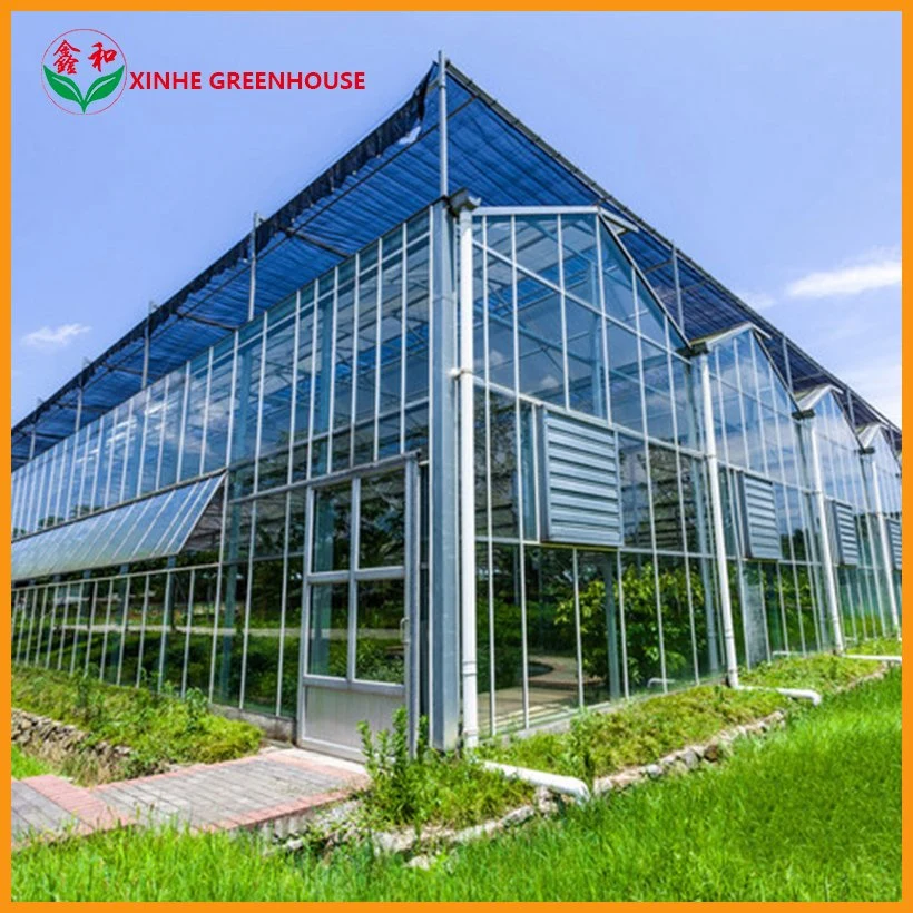 Agriculture Glass Multi-Span Greenhouse for Planting Vegetables