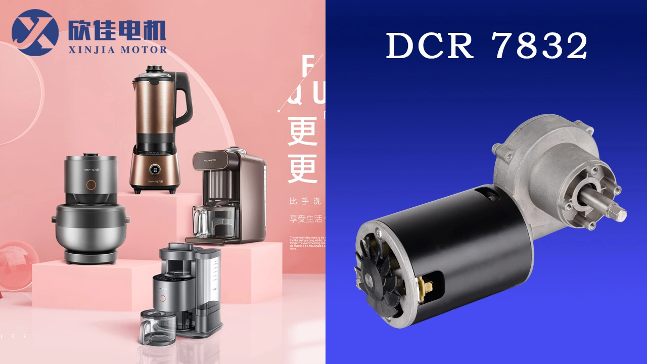 AC/DC Worm Gear Motor Dcr7832 with Magnetic Steel Sheet High Torque 120VDC 240VDC for Home Appliances