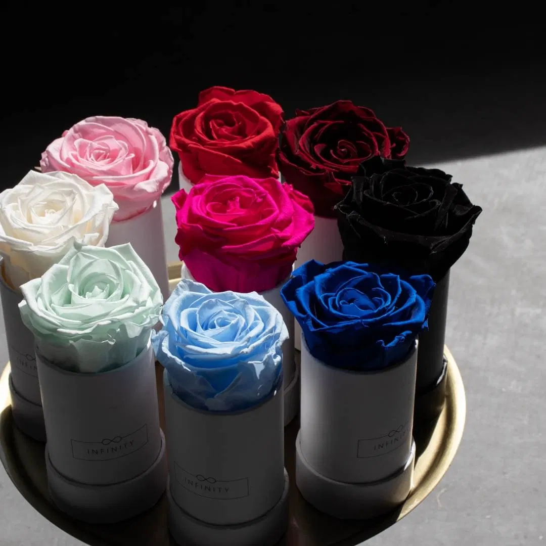 Lovely Size Cylinder Single Rose Box Wedding Gift Box Packaging