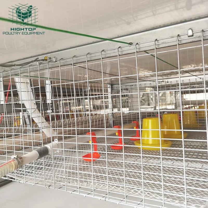 H Frame Battery Cage System for Meat Chicken Broiler Chicken Cage for Sale