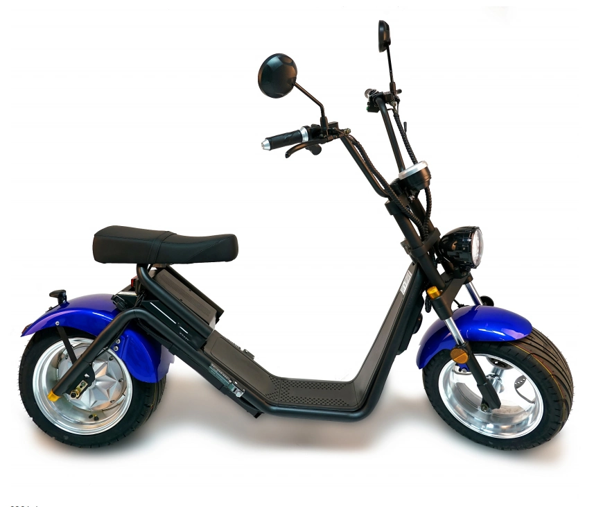 2020 Dropshipping Wholesale/Supplier Adult Folding Fast Electric Mobility Scooter Waterproof China Warehouse