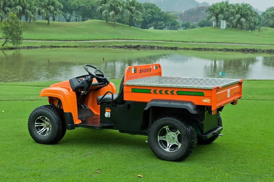 Durable off Road All-Terrian UTV Electric Utility Vehicle