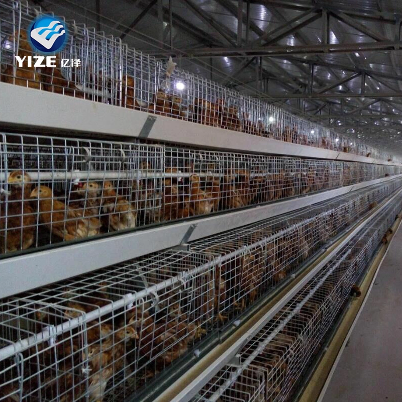 Chicken Layer Cage Geflügel Equipment China Factory Manufacture Heißen Verkauf Manuelle Fütterung Im Betrieb