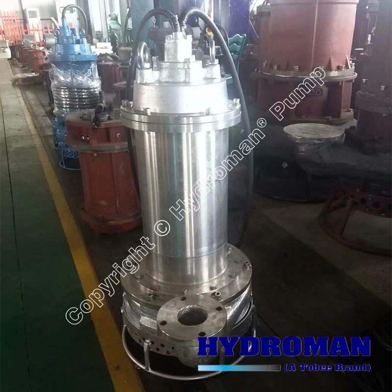 Submersible Slurry Stainless Steel Pump with High Efficient for Coal Mine