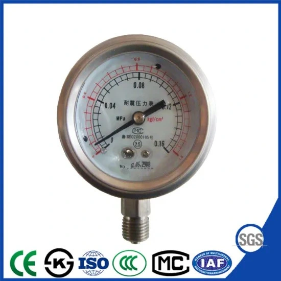 Ytn-100h German Type All-Stainless Steel Shock-Proof Pressure Gauges Vibration-Proof Pressure Meters Glycerine Oil Filled