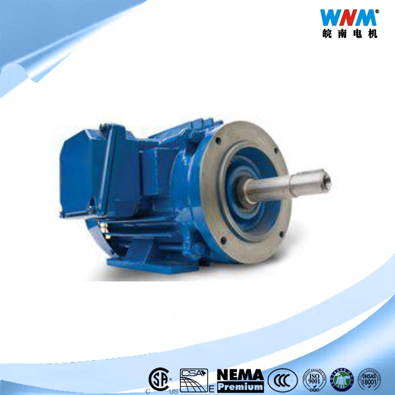 Motor de CA estándar NEMA 15hp 3PH/600V 1800 rpm/60Hz 284t