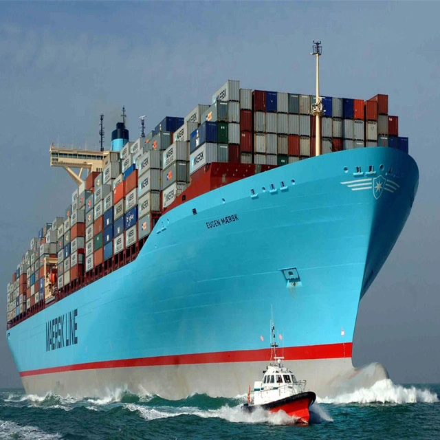 Sea Shipping Price to India Del Nsa From Hongkong China Ocean Freight Agent Container Transport