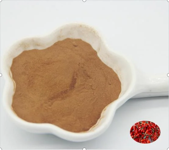 Goji Berry Plants Wolfberry Extract Goji Powder/Goji Berry Extract Powder