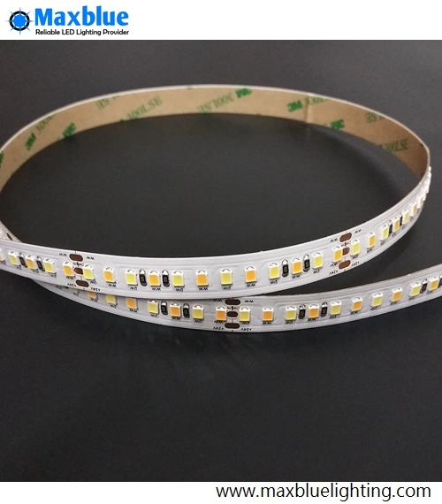 Superbright CRI95ra Bicolor Flexible LED Tape Lighting SMD2835 168LEDs/M