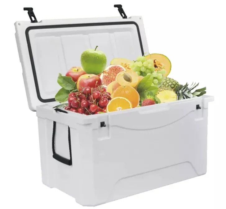 China Supplier Portable Color Milk Ice Cooler Box