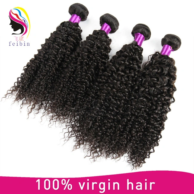 Wholesale/Supplier African Kinky Human Hair Afro Kinky Hair Extensions