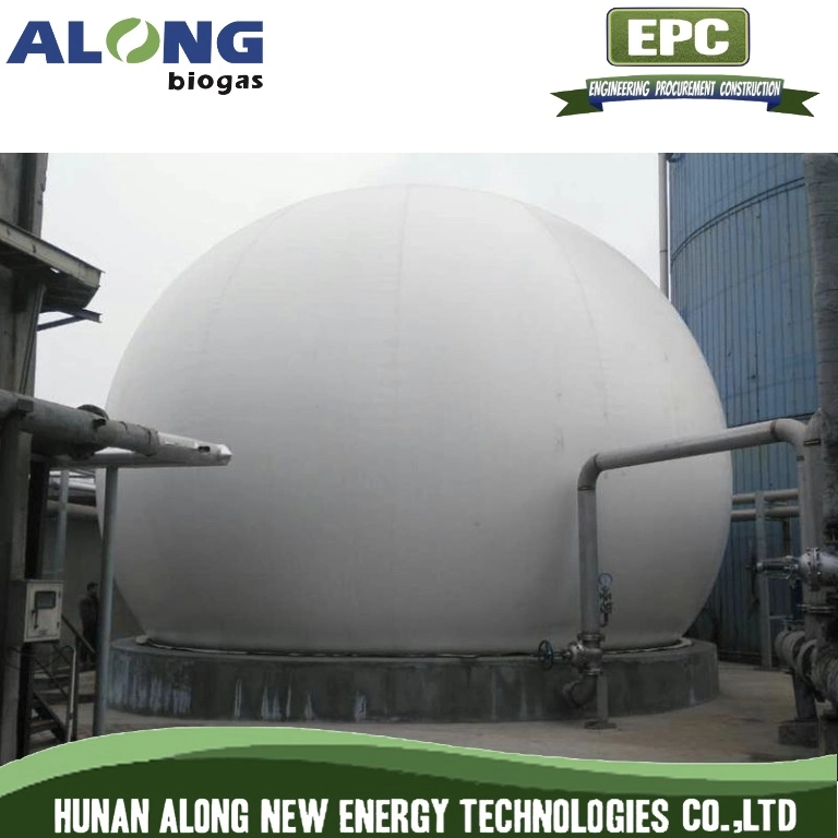 Cow Farm Double Membrane Biogas Holder Methane Storage Plant