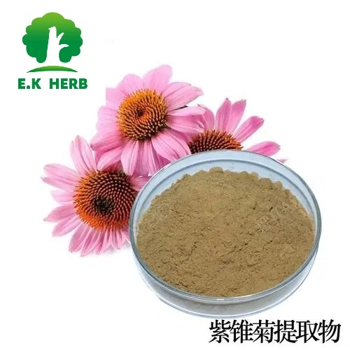 E. K Herb usine stimule l'immunité des échantillons gratuits Anti-Infective Echinacea purpurea Extract polyphénols de 4 % Acide Chicoric 1%-4% Les animaux de compagnie Les Produits de santé