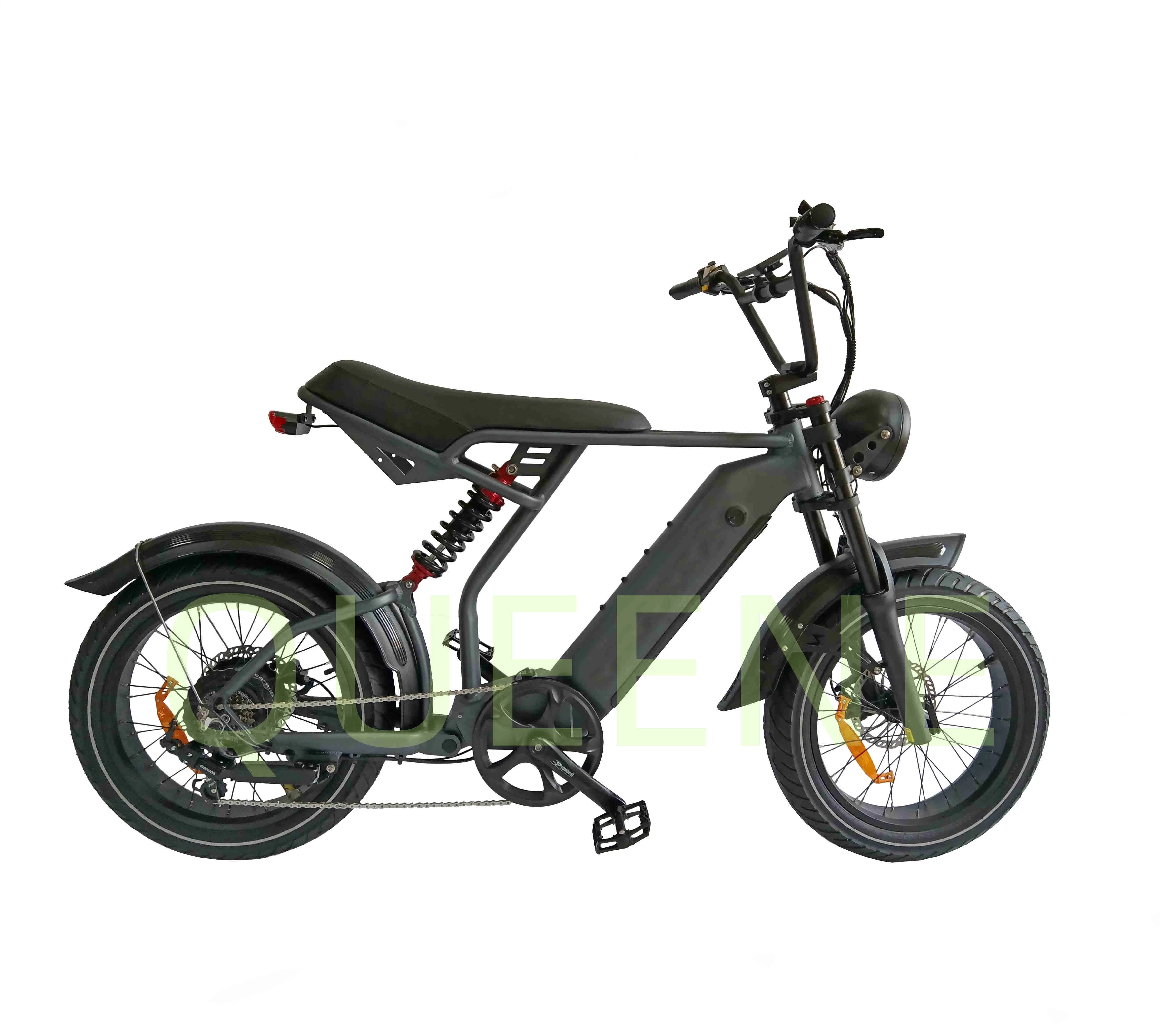 Queene/Cheap Price 48V 1000W Ebike Fat Tire Electric MTB Mountain/Snow/Dirt Bike for Sale