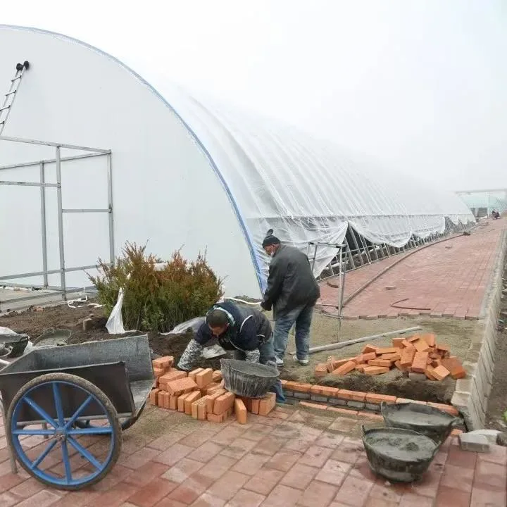 Factory Wholesale/Supplier Vegetable Agricultural Plastic Film Greenhouse for Sale