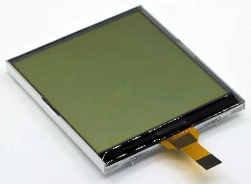 3.3 Inch 160X160 Monochrome Graphic LCD Display Module for Safety/Industrial/POS/Communication