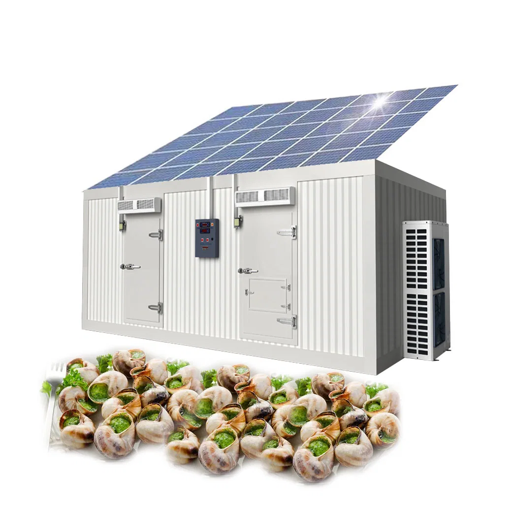 New Style Cold Room Frozen Room Solar Power Cold Storage Ferrze