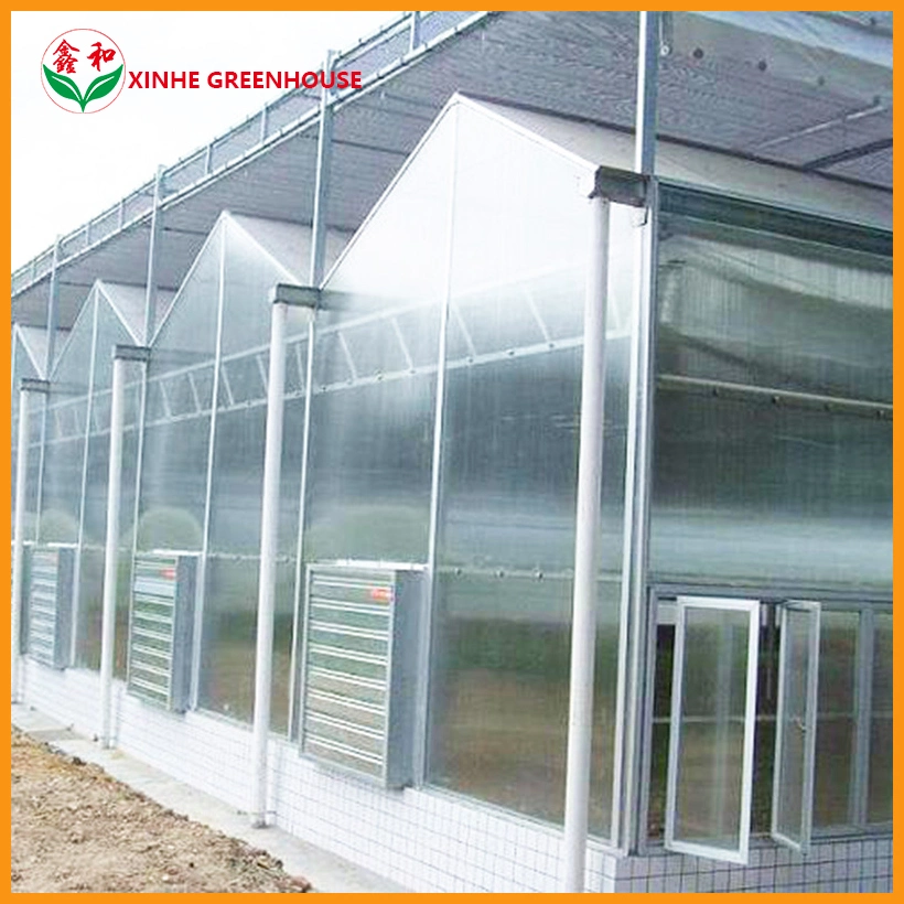 Landwirtschaft Multi span PC Blatt hydroponic Gewächshaus