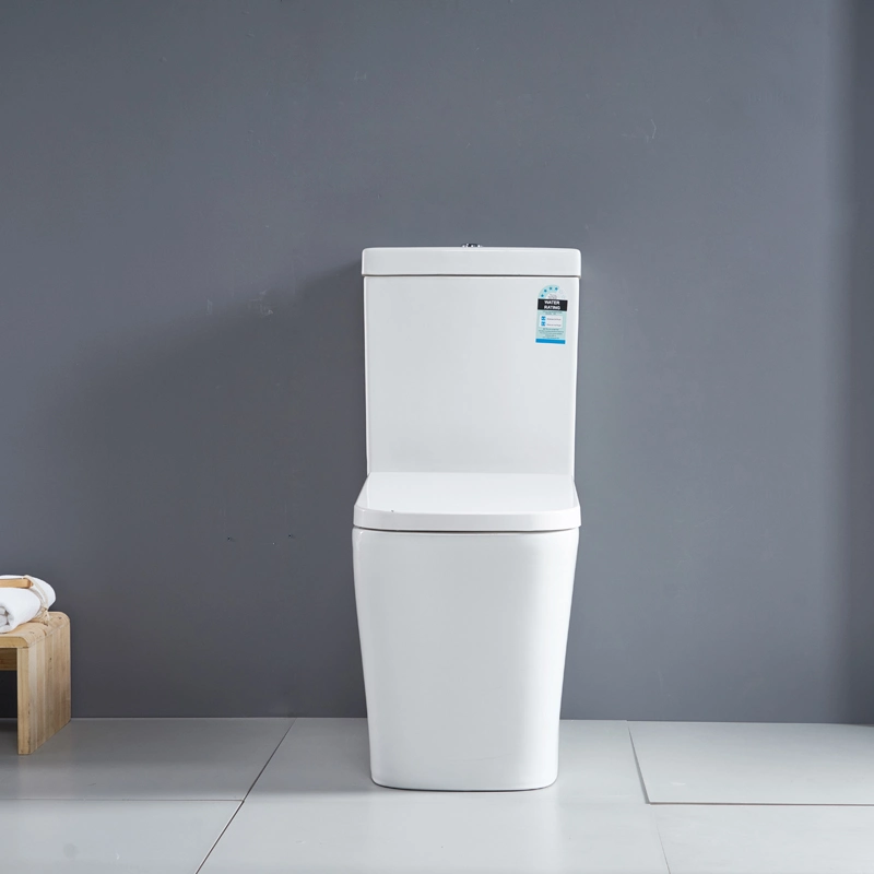 Wels Certication Back to Wall Rimless Toilet Suite