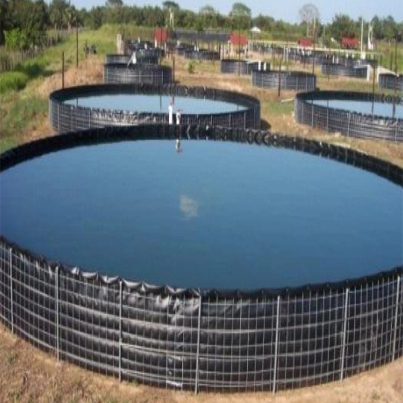 Personalizar Negro Azul Geomembrana HDPE resistente al agua