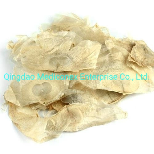 Fraxinus Rhynchophylla (stem, branch bark) Prepared Traditional Chinese Herbal Medicine Anti Infection