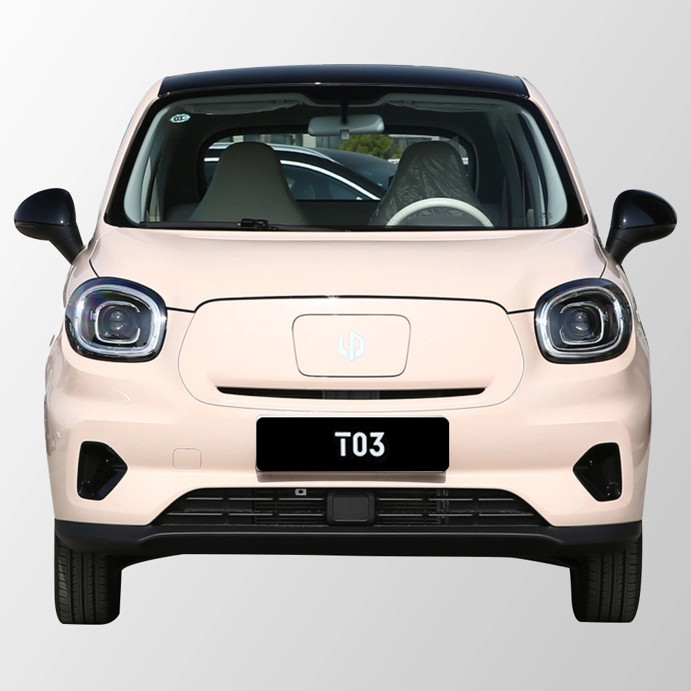 Popular Affordable Small Mini EV Car Famous Brand Pure Electric Auto Used New Car