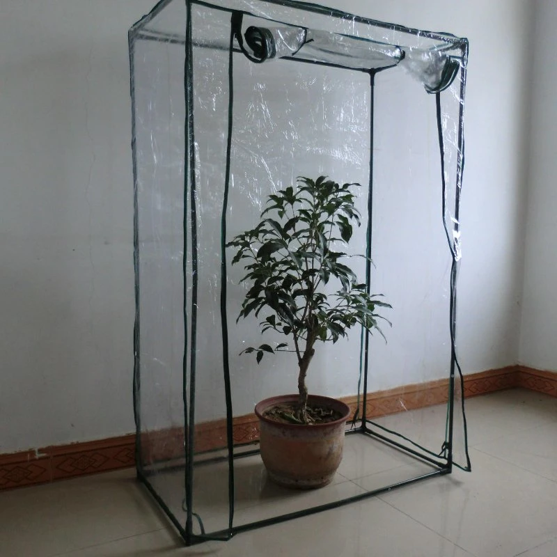 Low Cost Agricultural Home Garden Greenhouse with High quality/High cost performance  for Sale