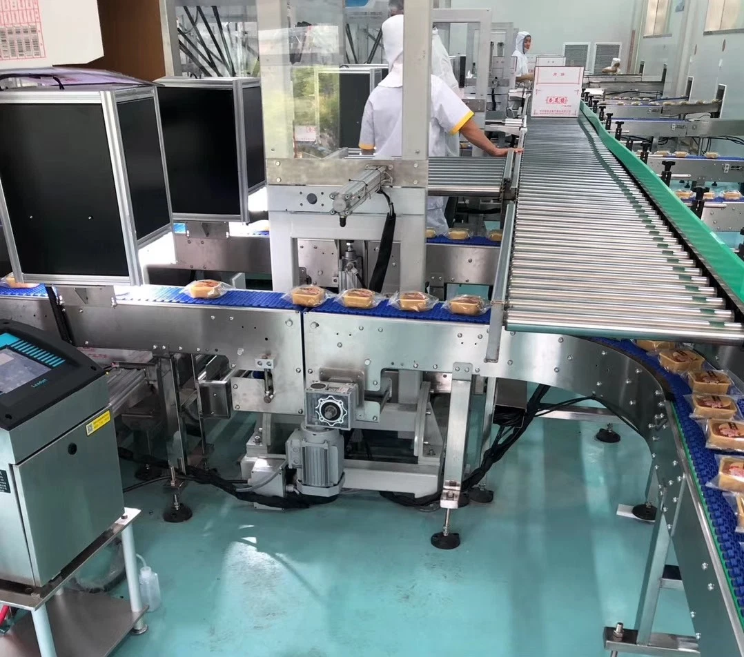 Factory Customized Automatic Operation Modular Belt Plastic Belt Conveyor System