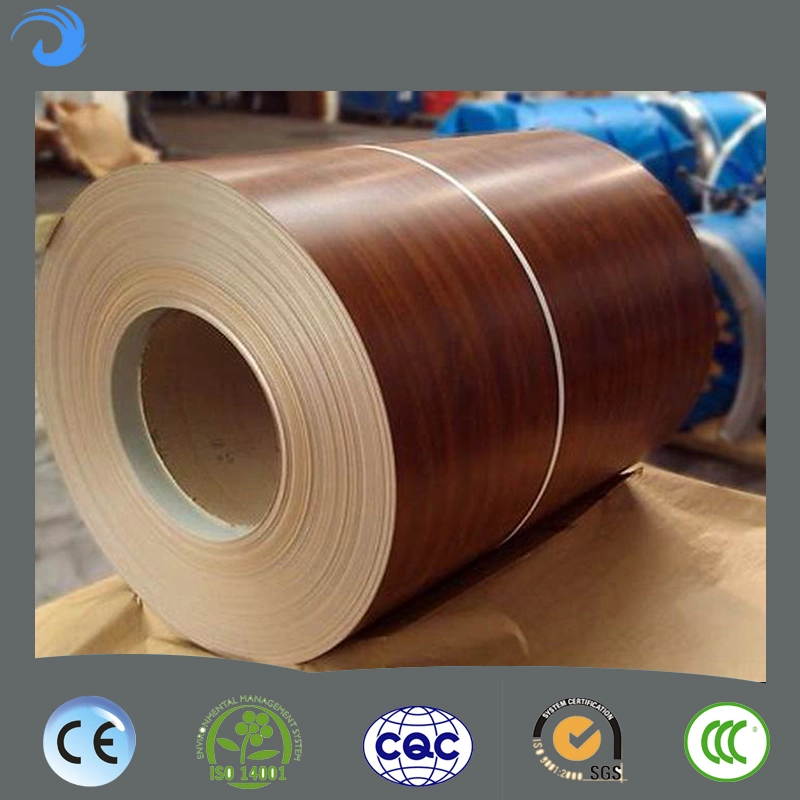 Color Coating Line/Ccl/Painting Equipment