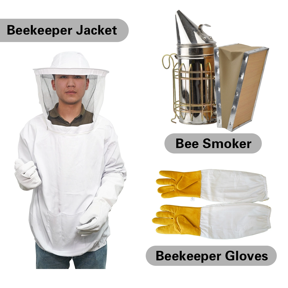 Beekeeping Equipment Beekeeping Tools Kit for Beekeeper