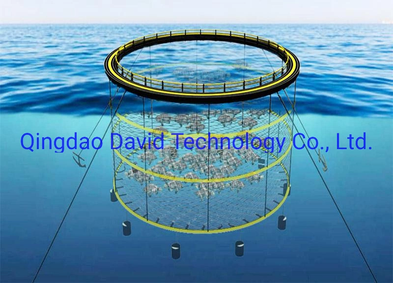 Professional Supplier of Fishing Cage/Aquaculture Fish Farming Cages/Aquaculture Net Cage