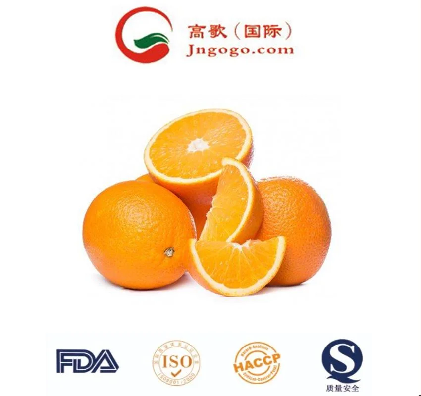 Wholesale/Supplier Fresh Oranges Fruit/Fresh Tangerine/Mandarine