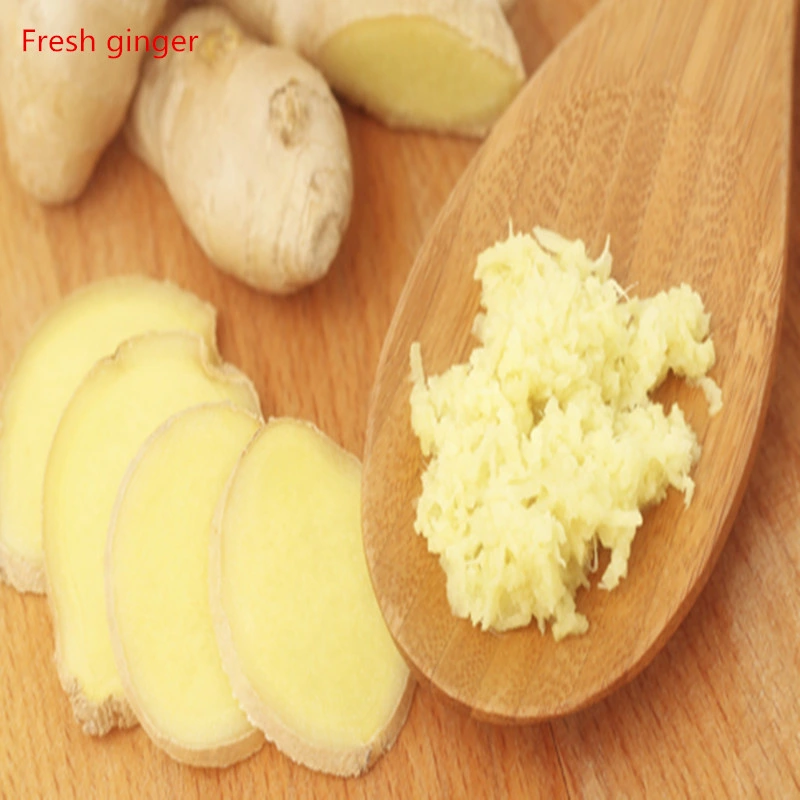 Natural Ginger Extract Powder