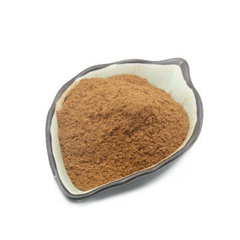 High quality/High cost performance Radish Seed Extract White Radish Ternip Seeds Extract Powder