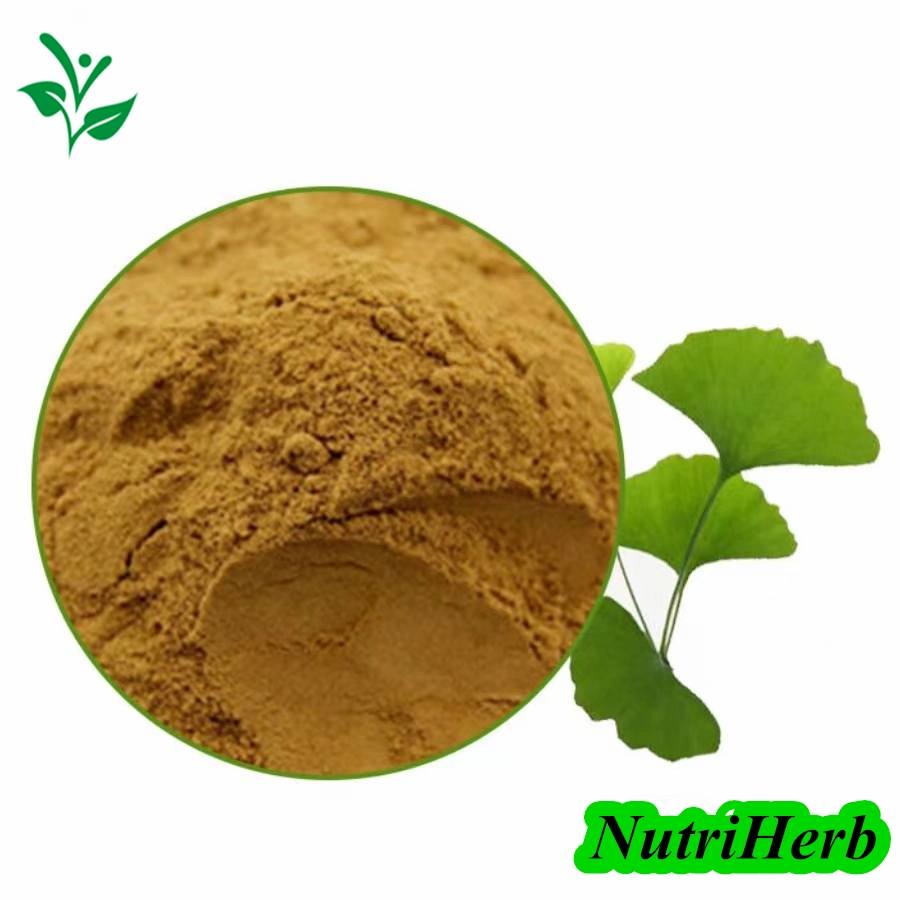 China Manufacturer Ginkgo Biloba Extract Flavonids 24% 6% Egb 761 Powder