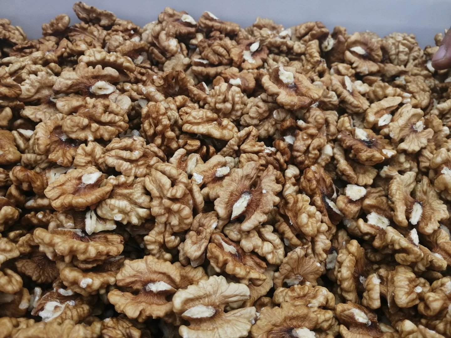 Xinjiang High Quality Low Price 185 Thin Skin No Shell Walnut Kernel