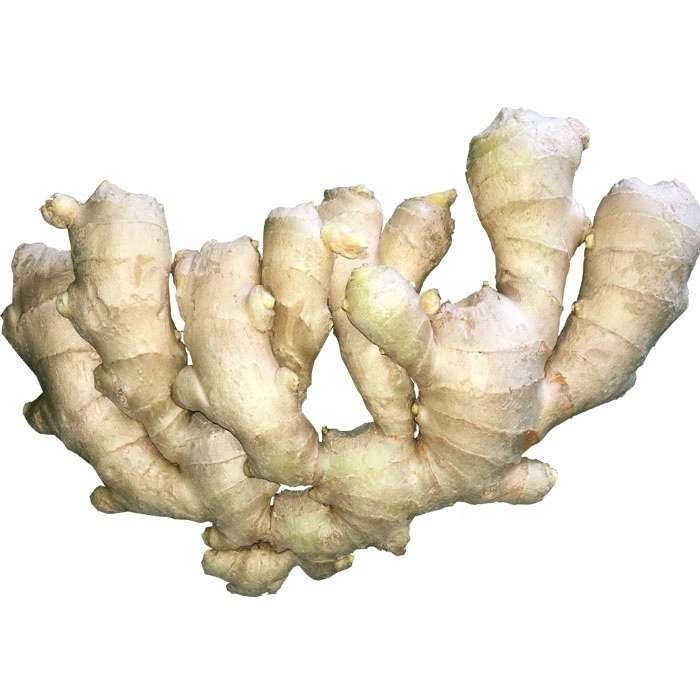 Dry Ginger Super Quality 250g Size to Algeria