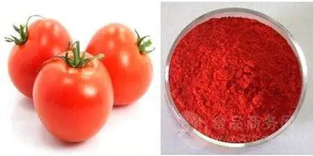 High quality/High cost performance  Tomato Extract 6%, 10%, 20%, 30% HPLC Lycopene Powder Beverage Powder