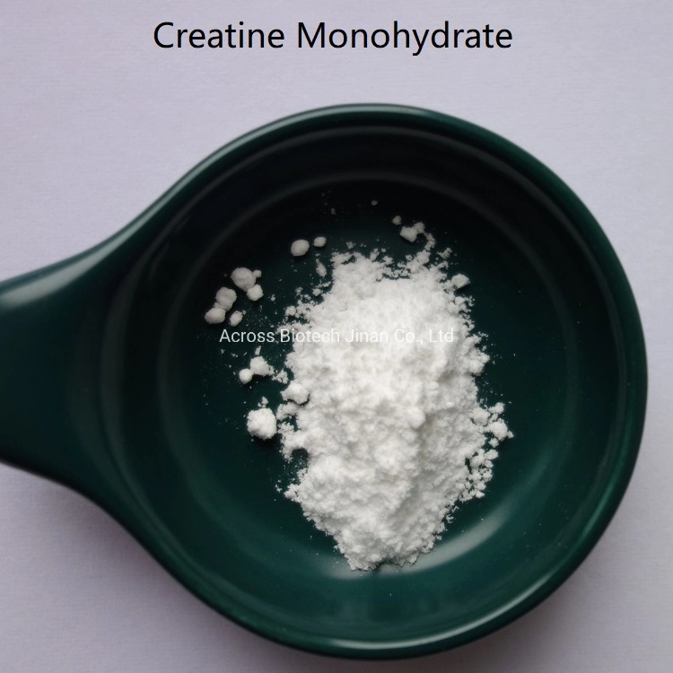 Come to Us to Buy Creatine Monohydrate CAS 6020-87-7 at Affordable Price