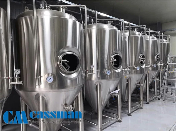 Cassman 2000L Large Brewing System Craft Beer Brewing Equipment