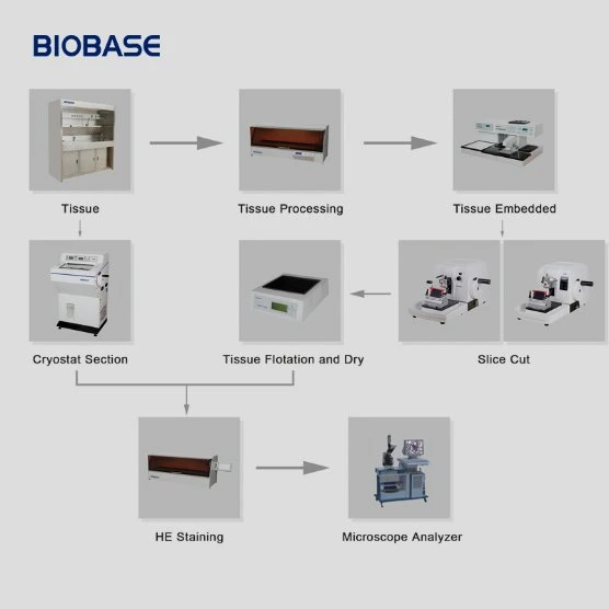 Biobase Sample Processor 12 Cups Fully Intelligent Histopathology Automated Tissue Processor