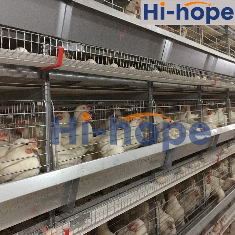 Factory Price Farm Equipment Egg Layer Cage for Poultry Farm