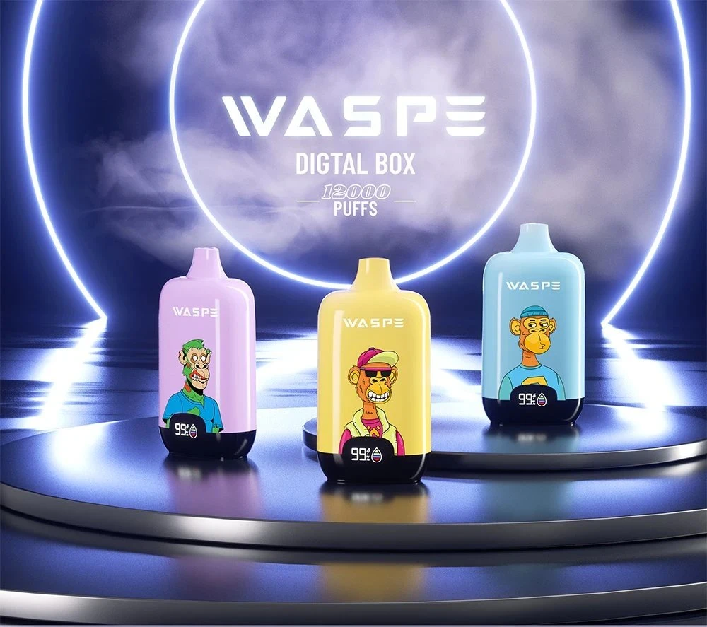 Randm Waspe Boîte numérique 12K Puff Zbood Logo personnalisé Space Man Eliquid Dinosaur High Light V Voltbar Vapor Vape jetable