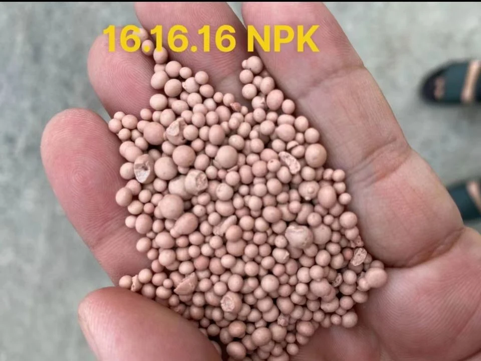 NPK Fertilizer NPK Fertilizer 12-11-18+MGO+S/NPK 23-10-5+MGO+Zn Green