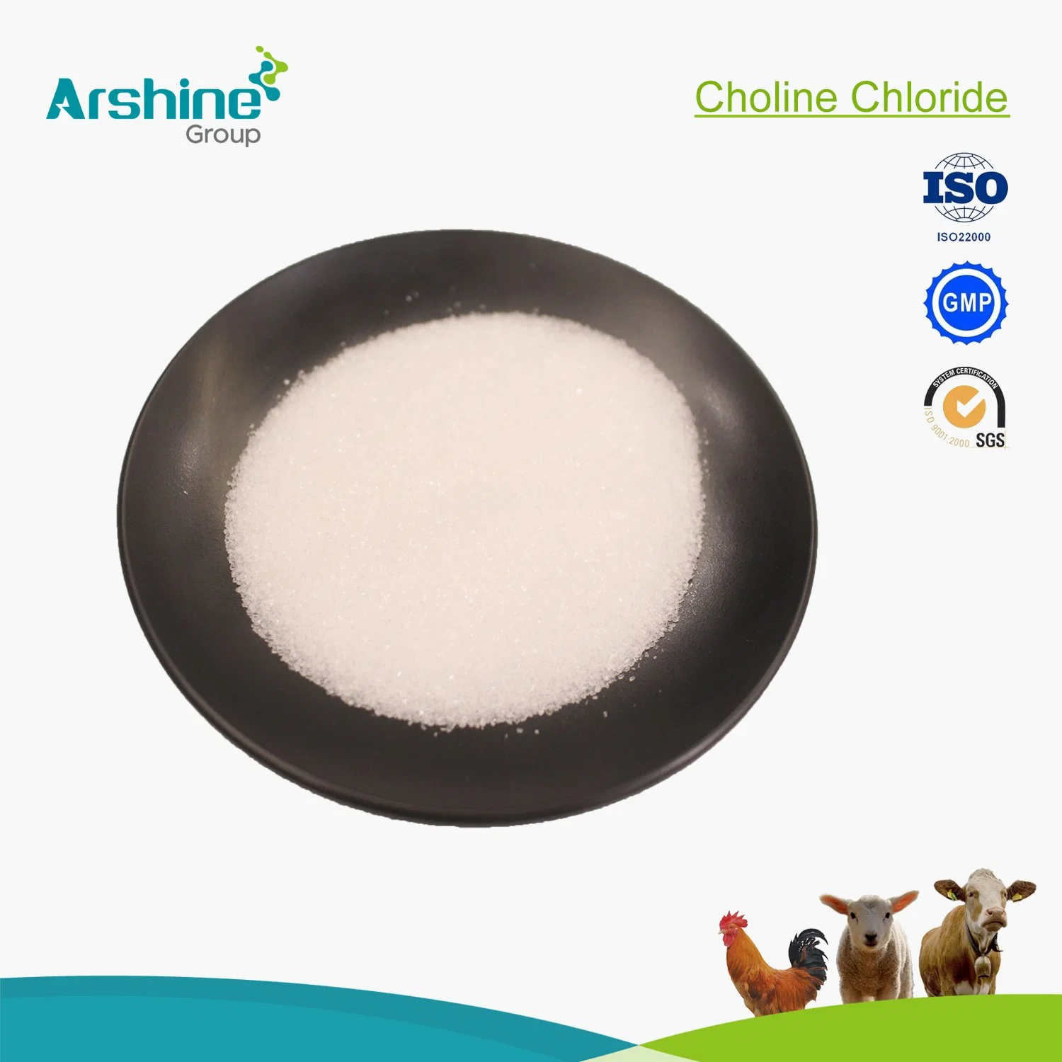 GMP Feed Additives Choline Chloride 60% Powder Choline Chloride