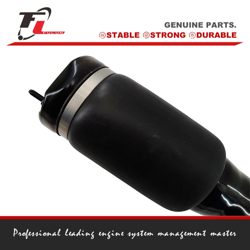 Auto Parts Air Shock Absorber for Benz W164