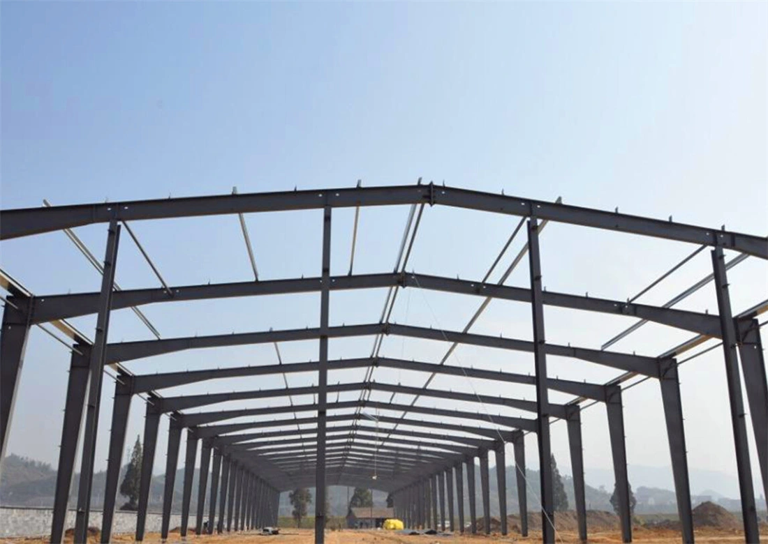 Large/Long Span Steel Structure/Frame/Truss