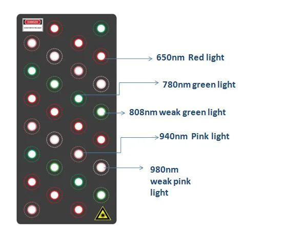 Celulitis pérdida de peso 8 pulgadas pantalla táctil a color más reciente 5D 6D Lipo Laser Machine