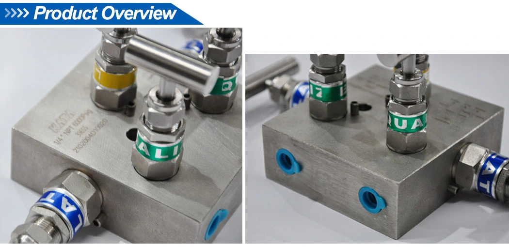 Double Block Female NPT Flange Valves Five Way Manifolds