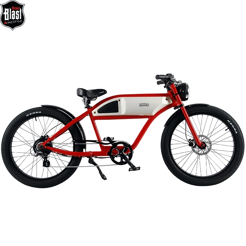 Classic Diseno Unico PARA Hombre Y Mujer Bicicleta Electrica